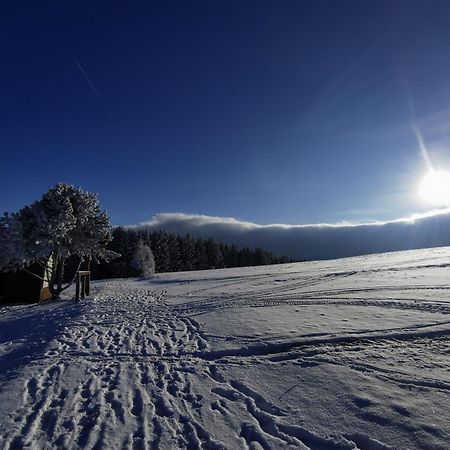 Berghaus Am Felsbruch Oberwiesenthal Ot Hammerunterwiesenthal Екстериор снимка