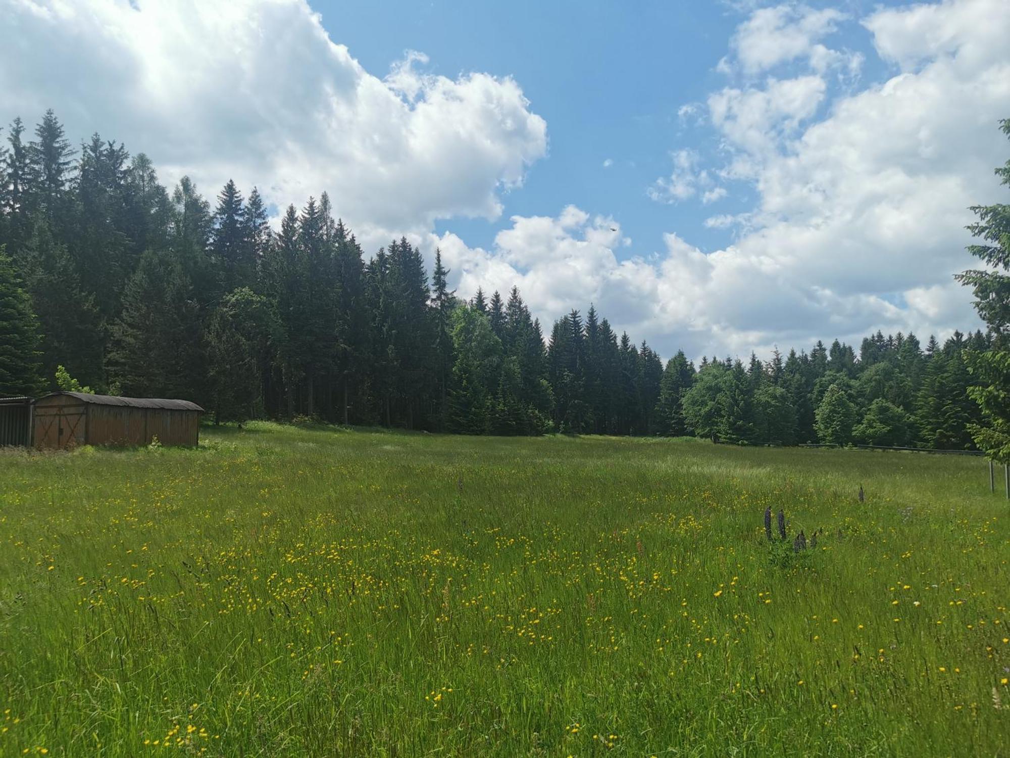 Berghaus Am Felsbruch Oberwiesenthal Ot Hammerunterwiesenthal Екстериор снимка