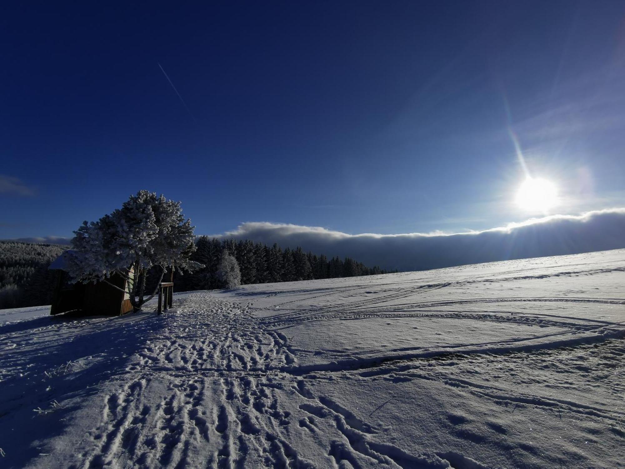 Berghaus Am Felsbruch Oberwiesenthal Ot Hammerunterwiesenthal Екстериор снимка